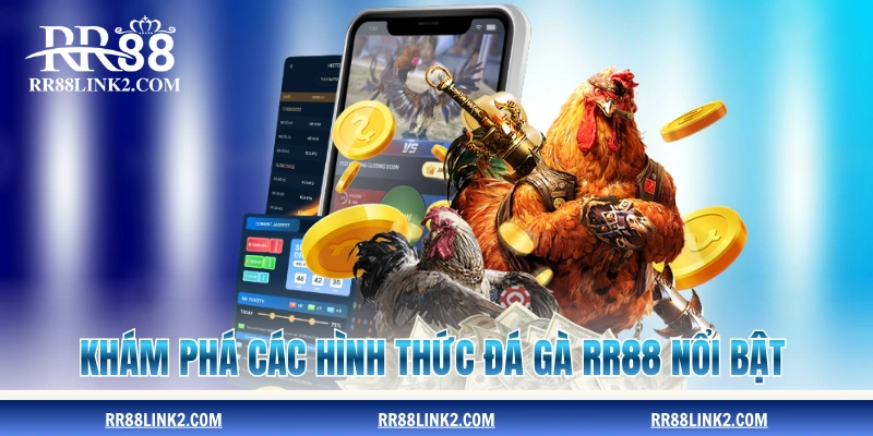 Khám phá các hình thức đá gà RR88 nổi bật