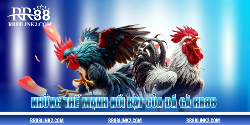 Những thế mạnh nổi bật của đá gà RR88